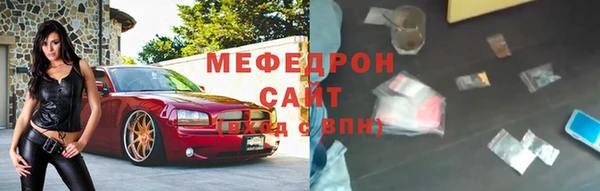 ECSTASY Богданович