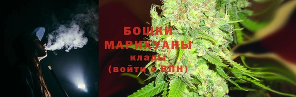 ECSTASY Богданович