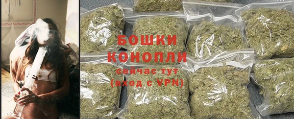 ECSTASY Богданович