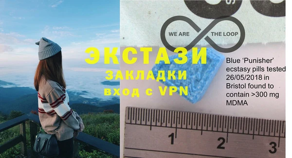 ECSTASY Богданович